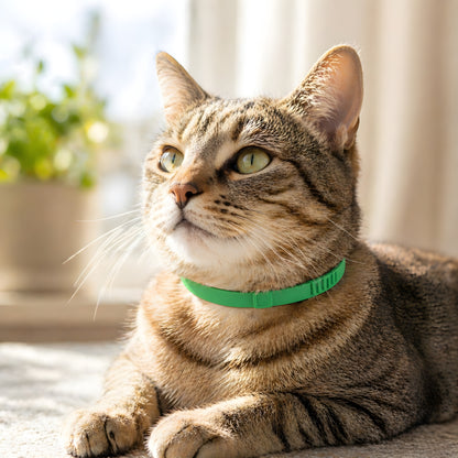 Flea & Tick Collar